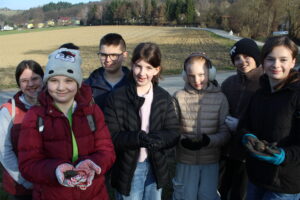 Mehr über den Artikel erfahren Amphibienschutz